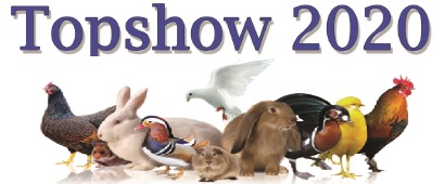 logo Topshow 2020